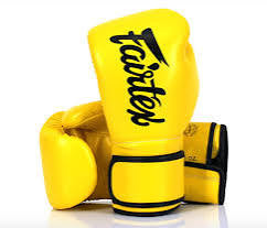 Fairtex Microfiber Muay Thai Boxing Gloves BGV14