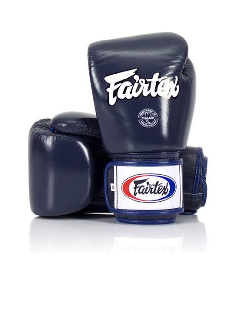 Fairtex Muay Thai Boxing Gloves BGV1