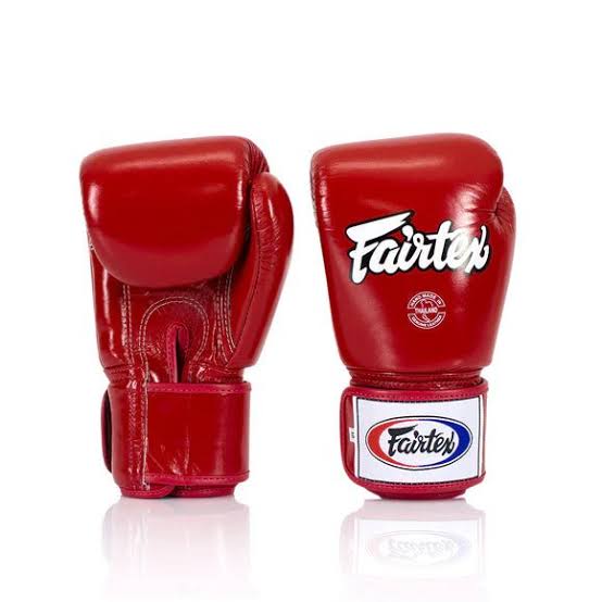 Fairtex Muay Thai Boxing Gloves BGV1