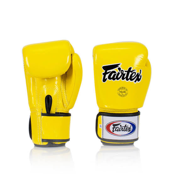 Fairtex Muay Thai Boxing Gloves BGV1