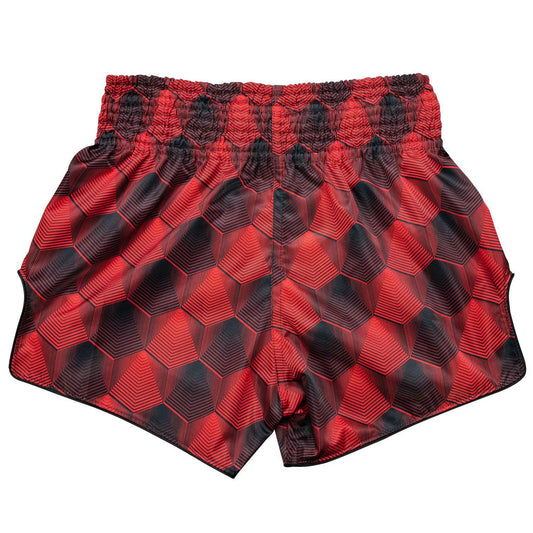 Fairtex Box-Muay-Thai-Shorts Rogtan BS1919