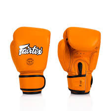 Fairtex Leder Muay Thai Boxhandschuhe BGV16