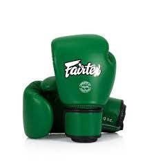 Fairtex Leder Muay Thai Boxhandschuhe BGV16