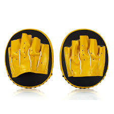 Fairtex Speed ​​&amp; Accuracy Fokus-Pratzen FMV15